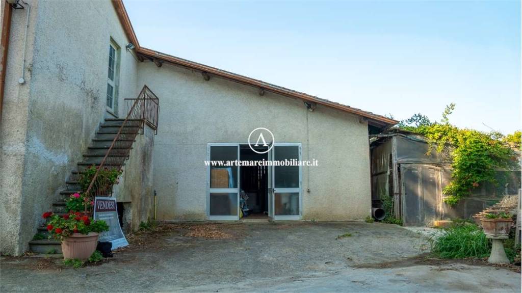 immagine annuncio 7 di 14