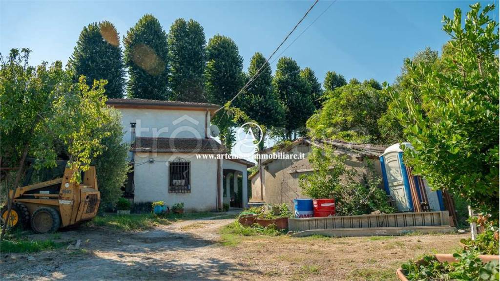 immagine annuncio 9 di 14