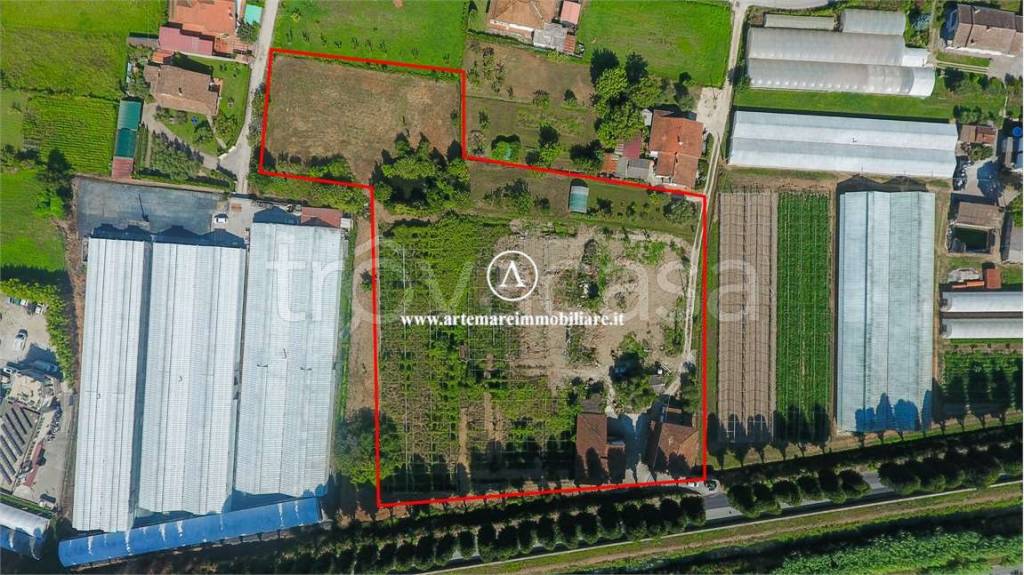 immagine annuncio 11 di 14