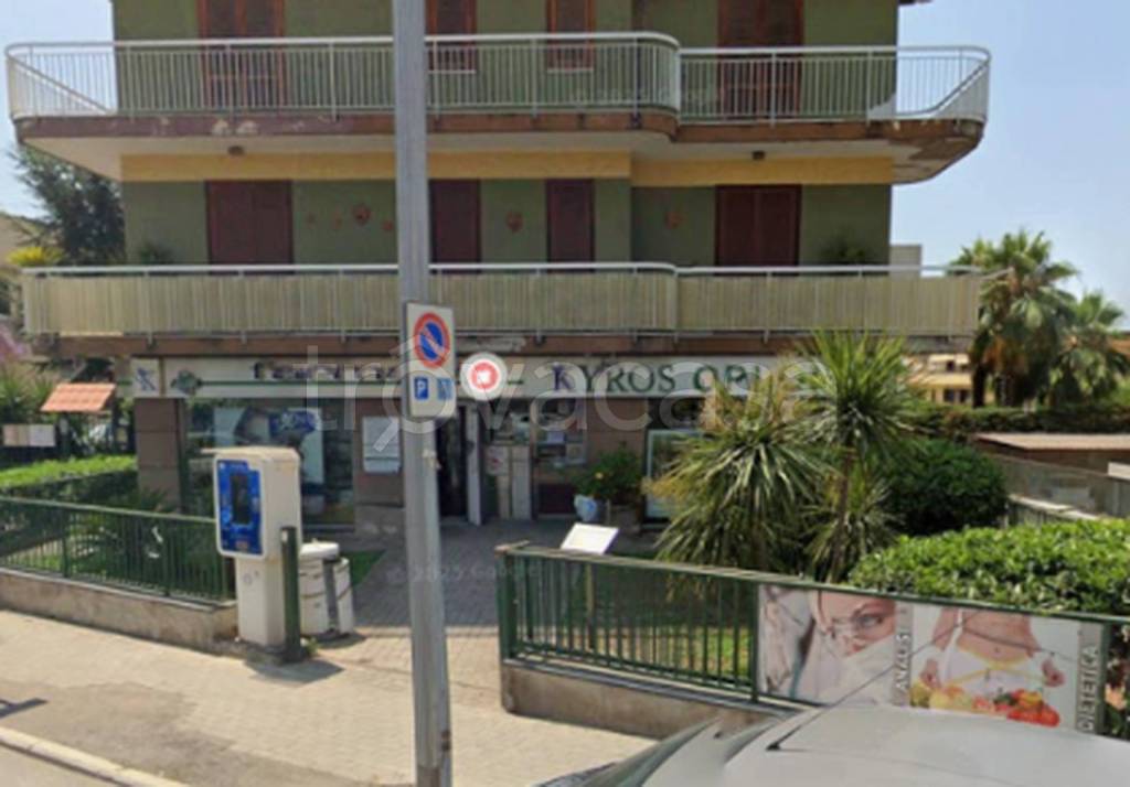 immagine annuncio 2 di 12