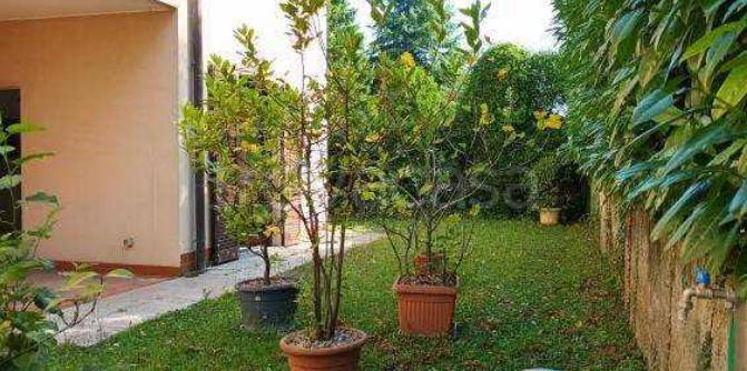 immagine annuncio 1 di 2