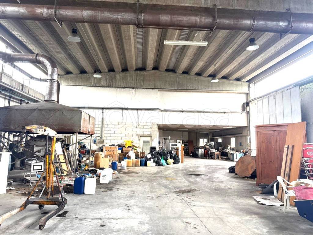 immagine annuncio 8 di 15