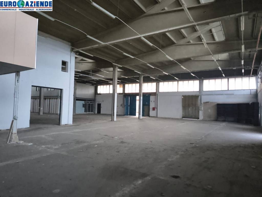 immagine annuncio 4 di 6