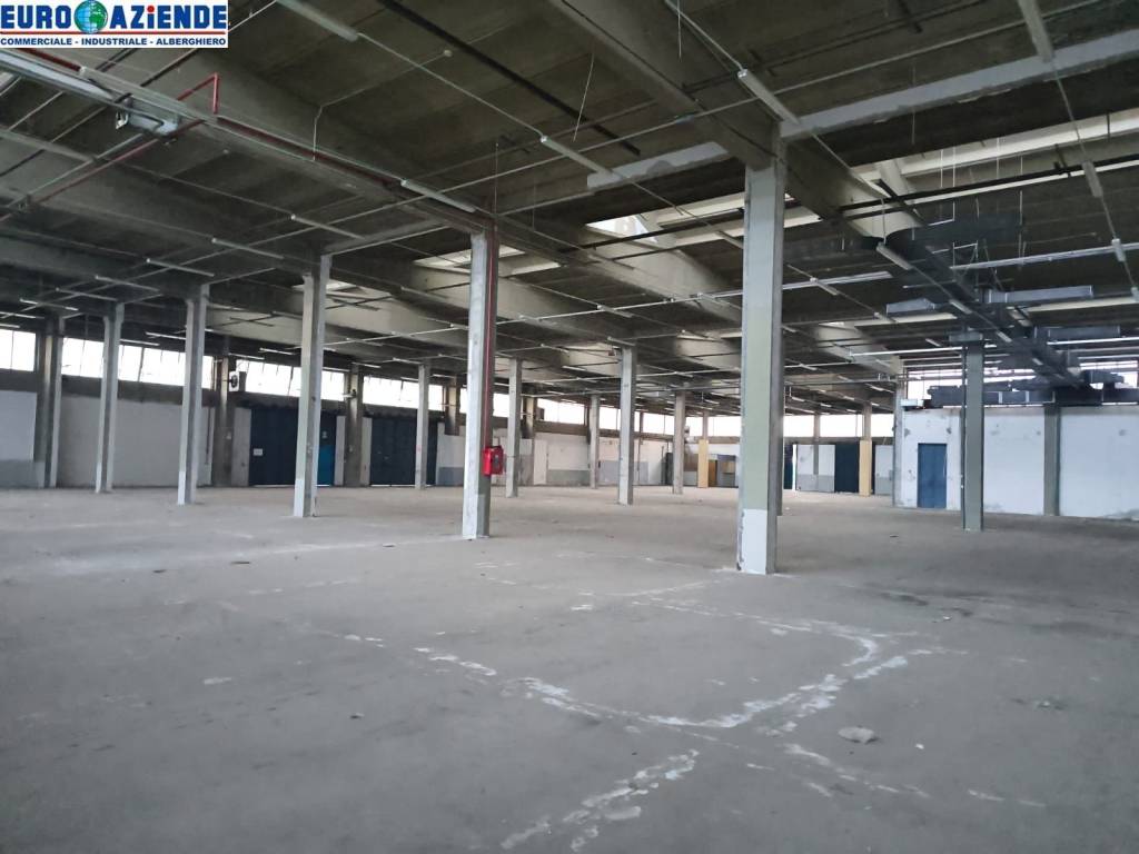 immagine annuncio 1 di 6