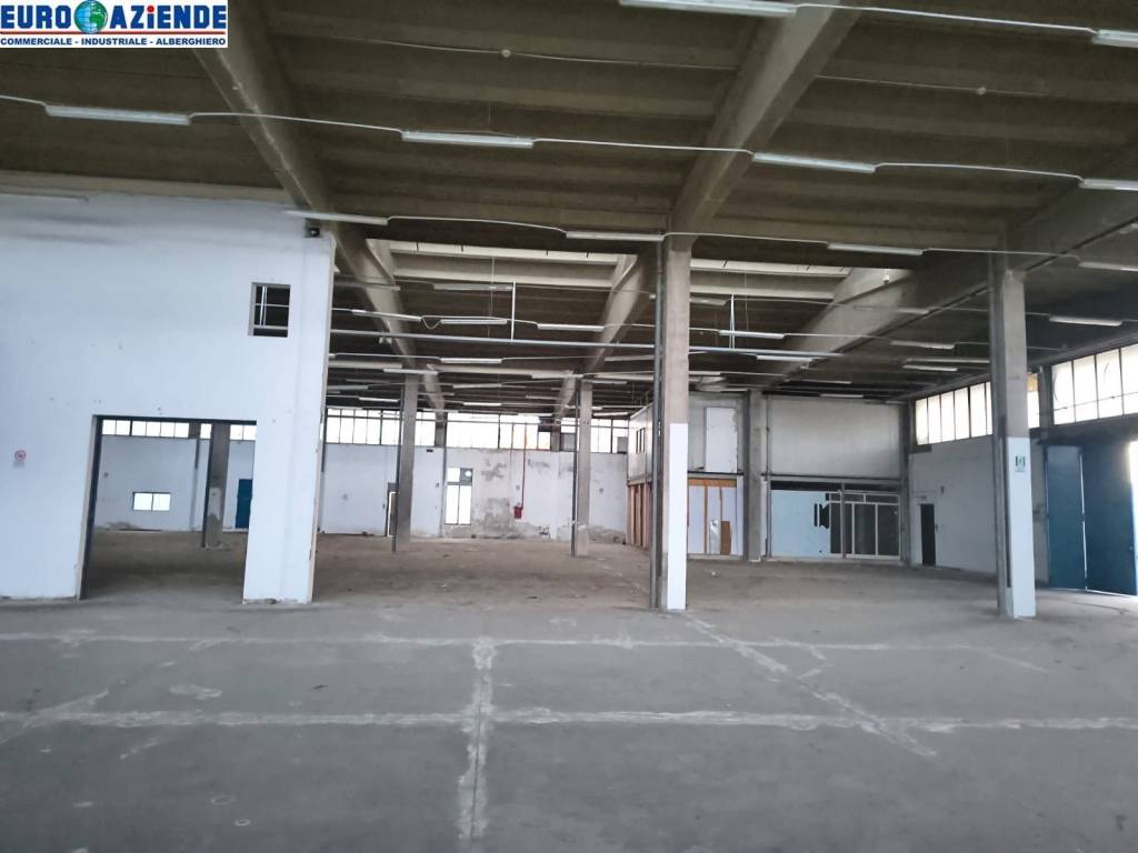 immagine annuncio 5 di 6