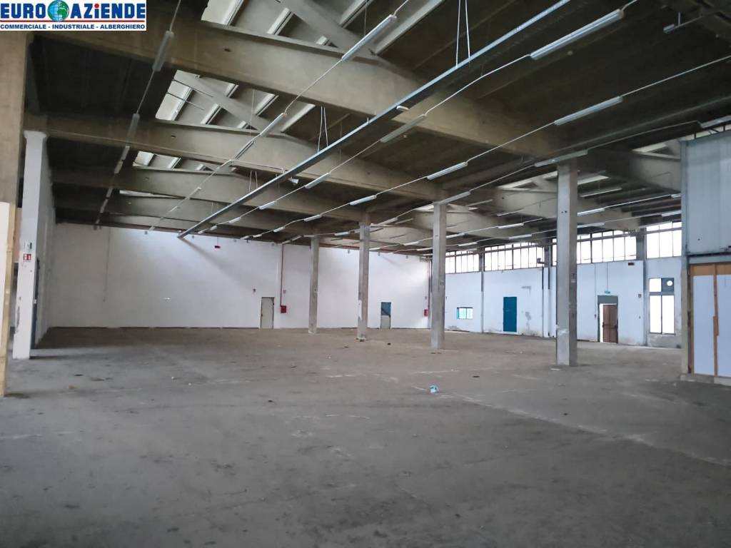 immagine annuncio 3 di 6