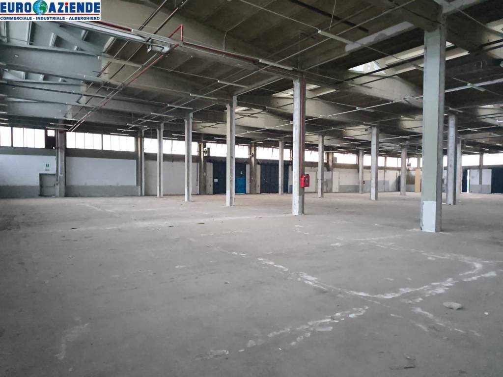 immagine annuncio 2 di 6