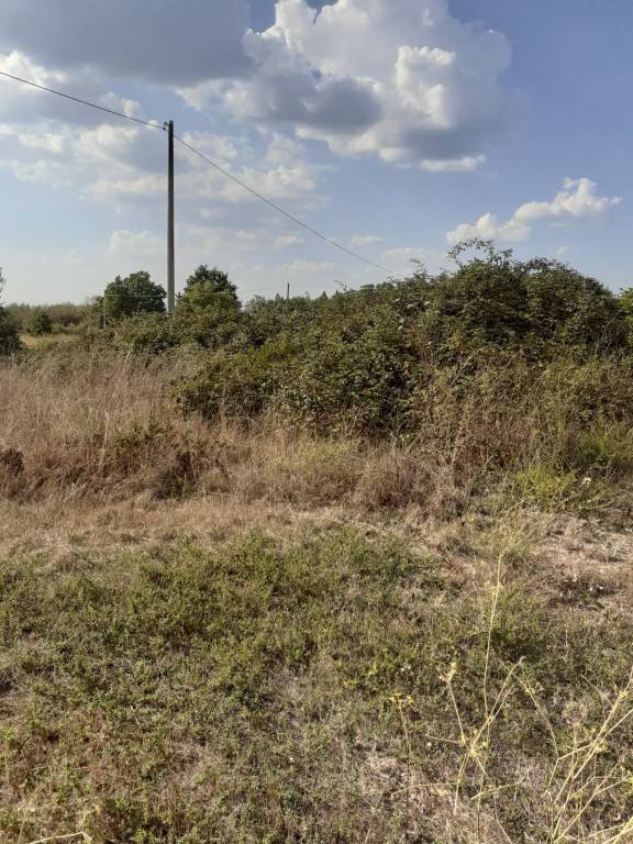 immagine annuncio 8 di 13