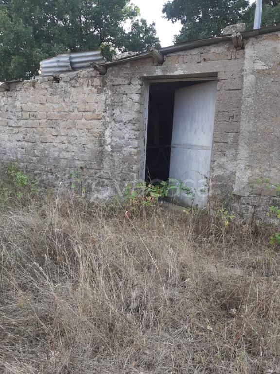 immagine annuncio 11 di 13