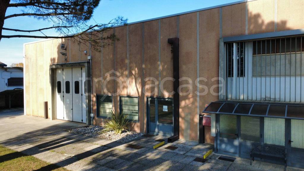 immagine annuncio 11 di 12