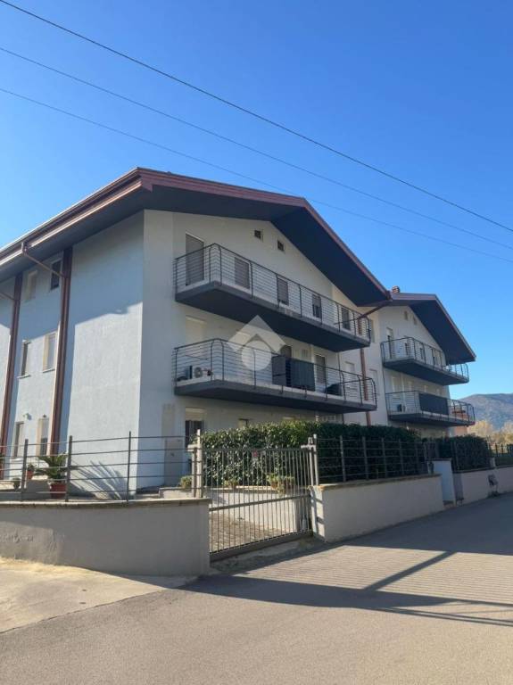 immagine annuncio 3 di 13