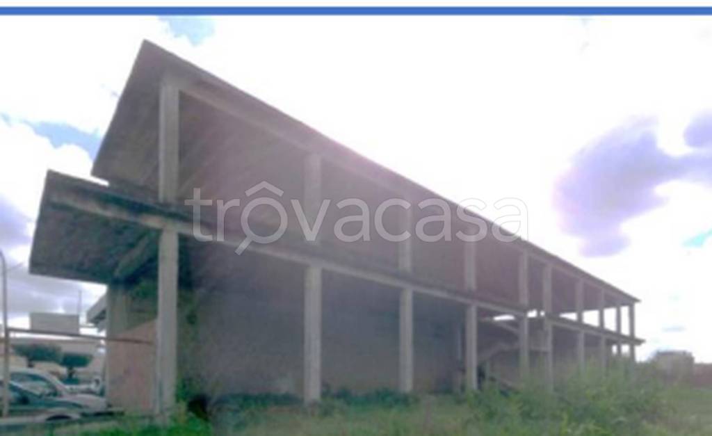 immagine annuncio 6 di 13