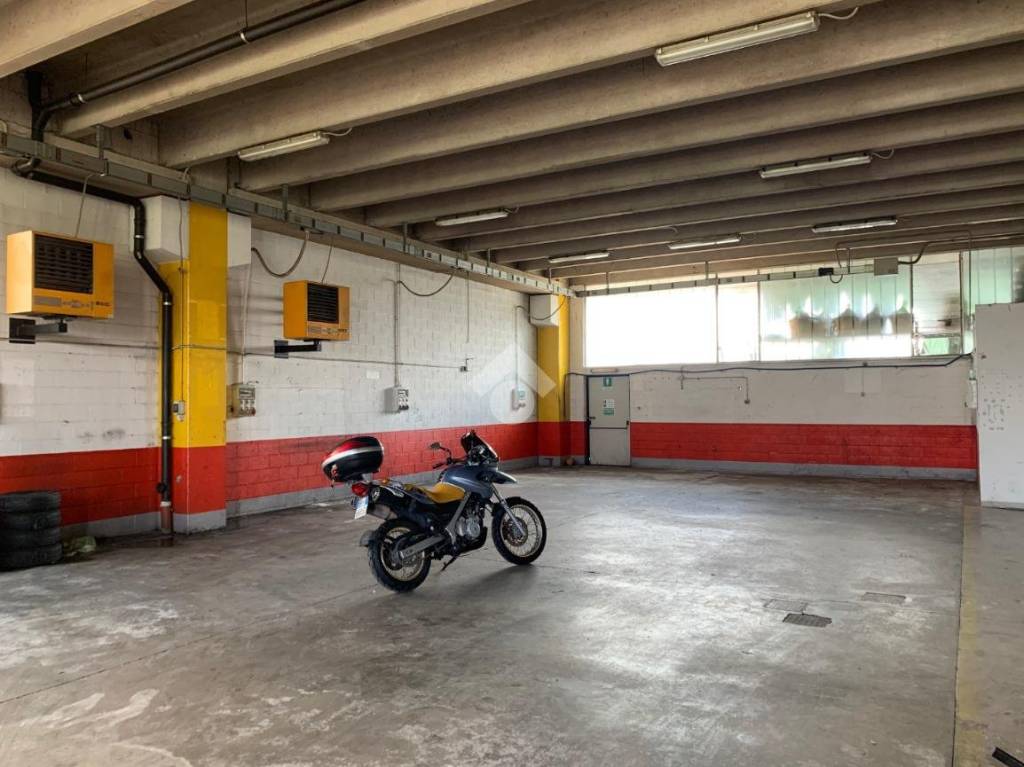 immagine annuncio 3 di 12