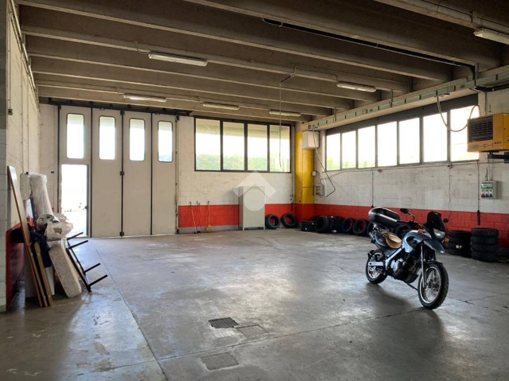 immagine annuncio 4 di 12