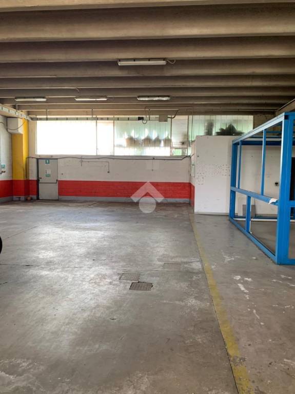 immagine annuncio 7 di 12