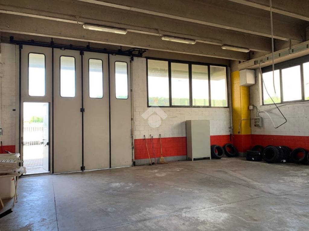 immagine annuncio 8 di 12