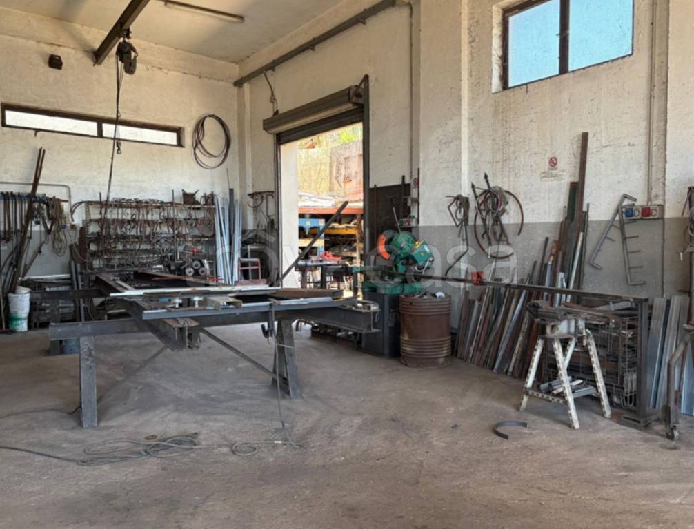 immagine annuncio 5 di 10