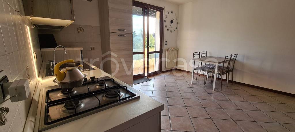 immagine annuncio 4 di 12