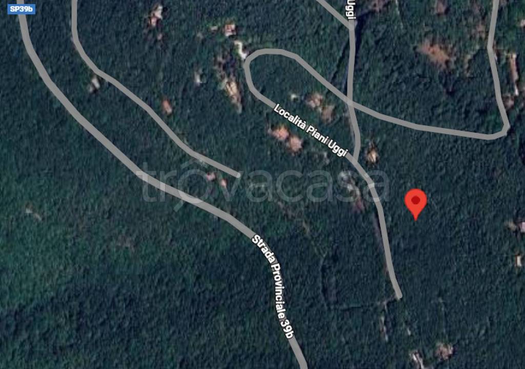 immagine annuncio 7 di 14