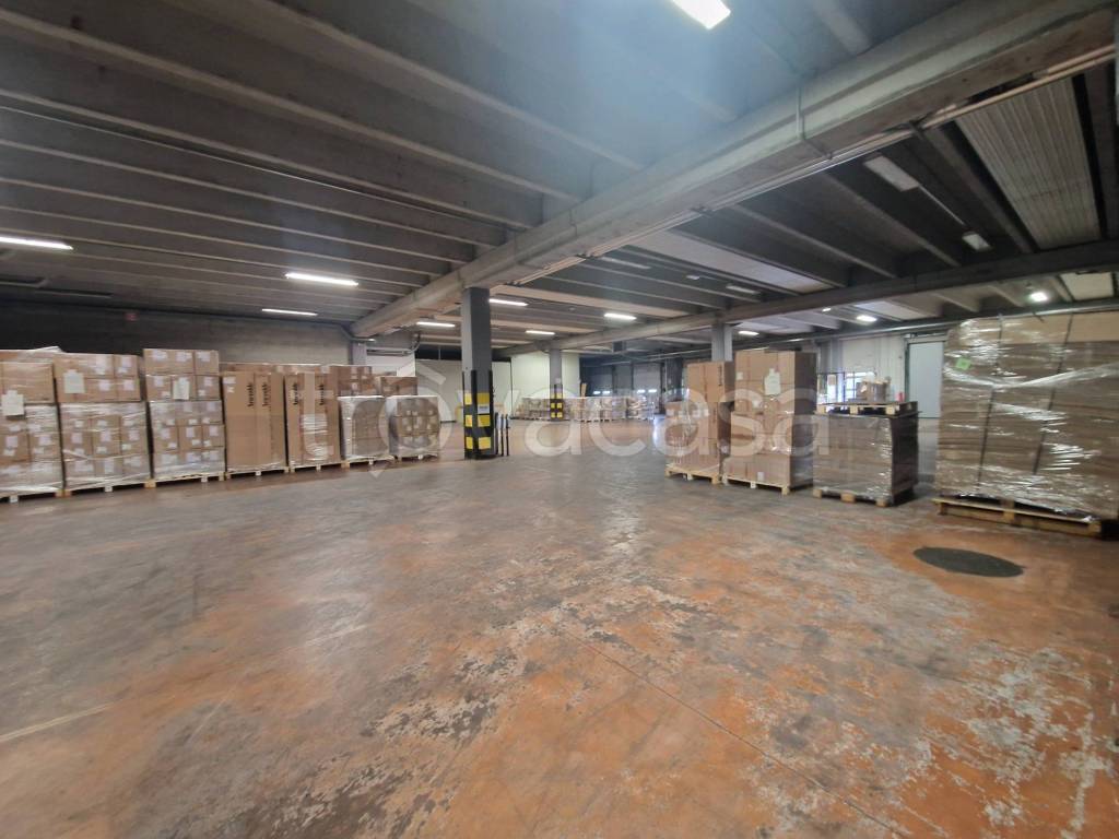 immagine annuncio 10 di 15