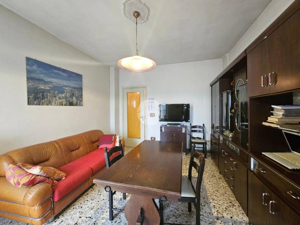 immagine annuncio 1 di 12