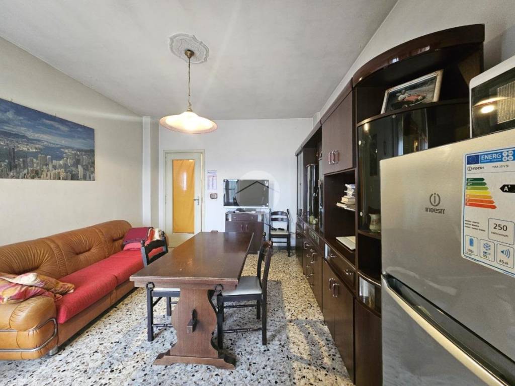 immagine annuncio 2 di 12