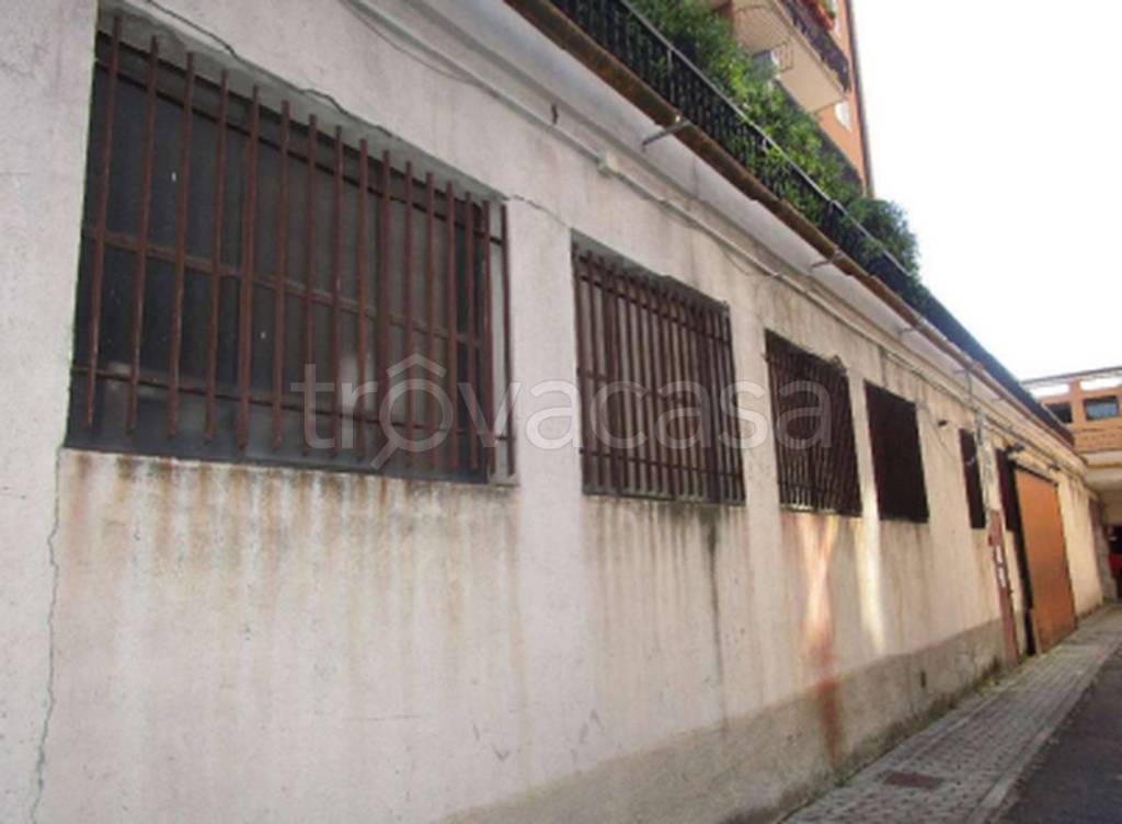 immagine annuncio 9 di 11