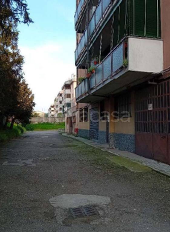 immagine annuncio 10 di 11