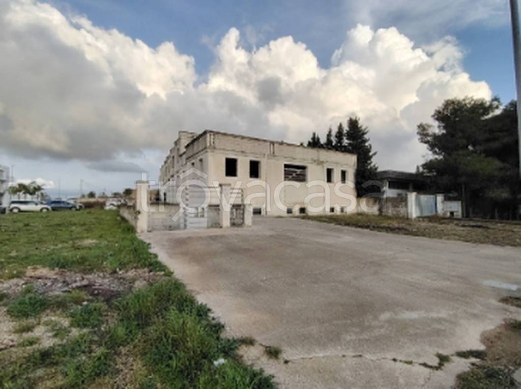 immagine annuncio 11 di 12