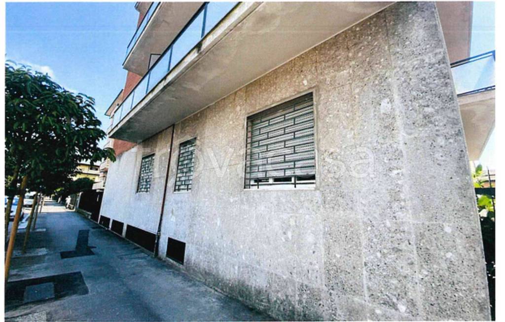 immagine annuncio 5 di 12