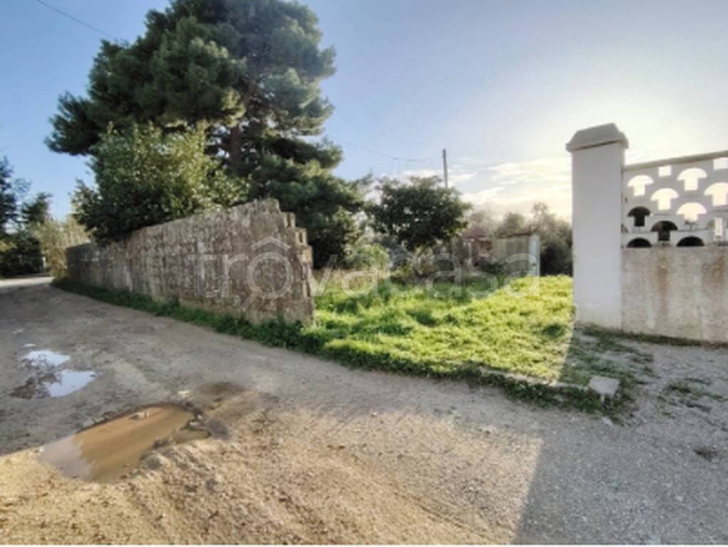 immagine annuncio 7 di 11