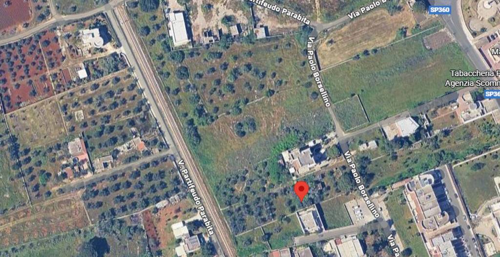 immagine annuncio 9 di 11