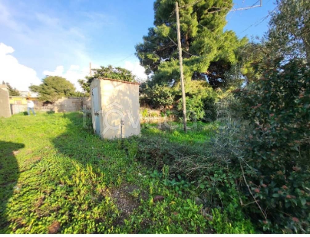 immagine annuncio 10 di 11