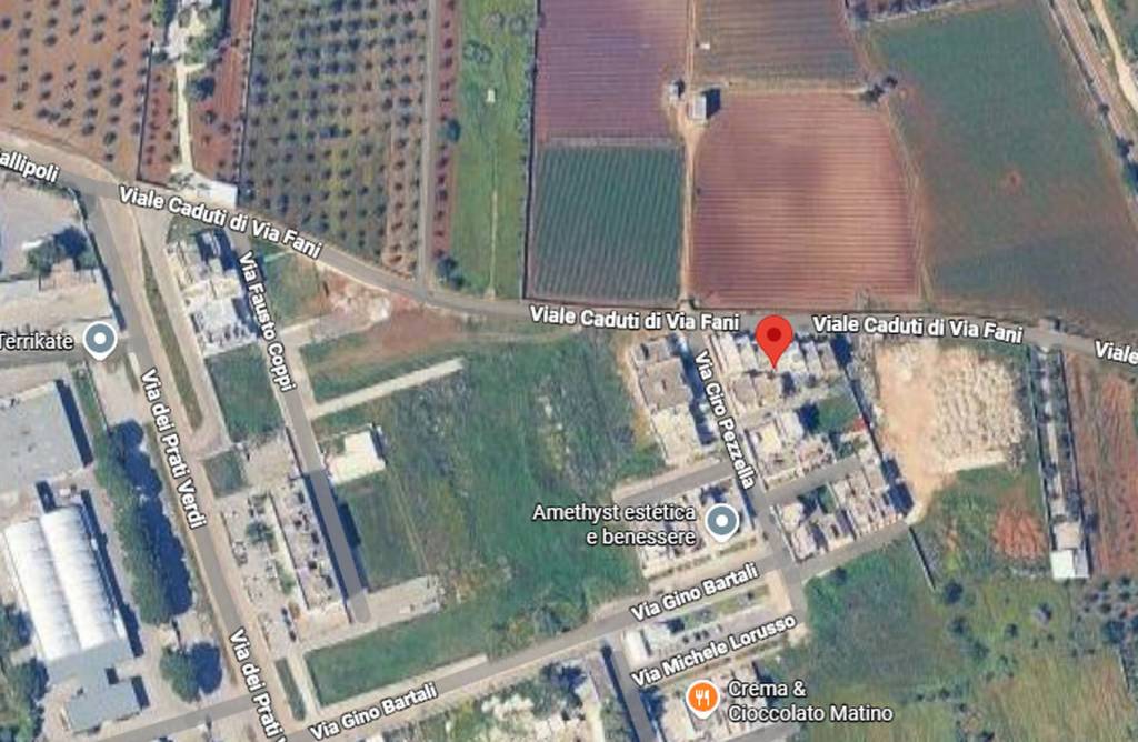 immagine annuncio 11 di 15