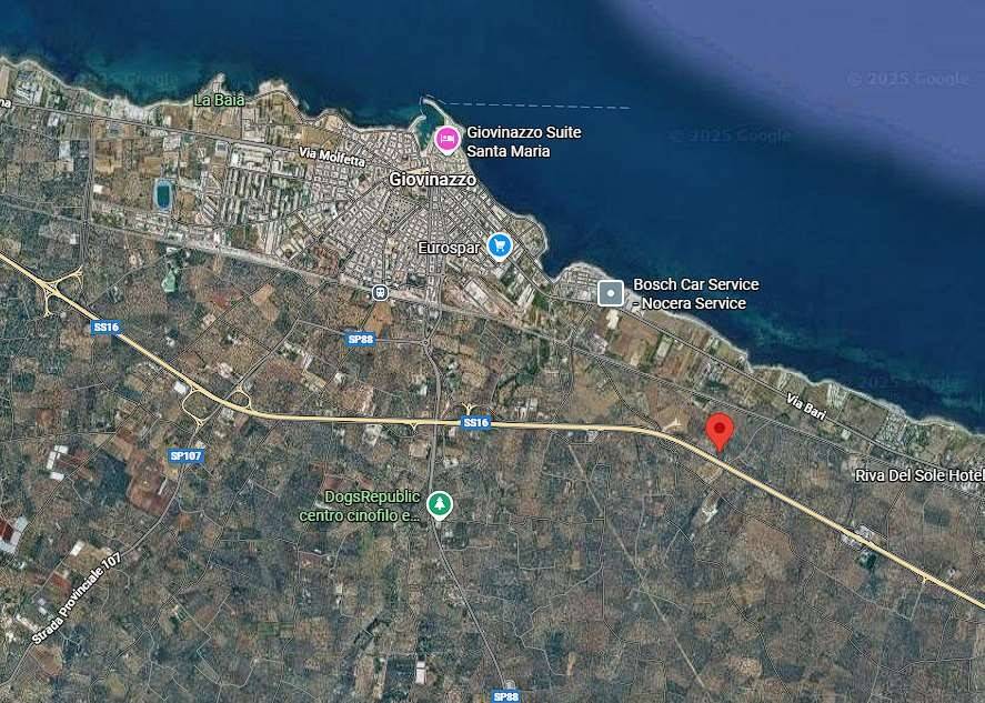 immagine annuncio 3 di 15