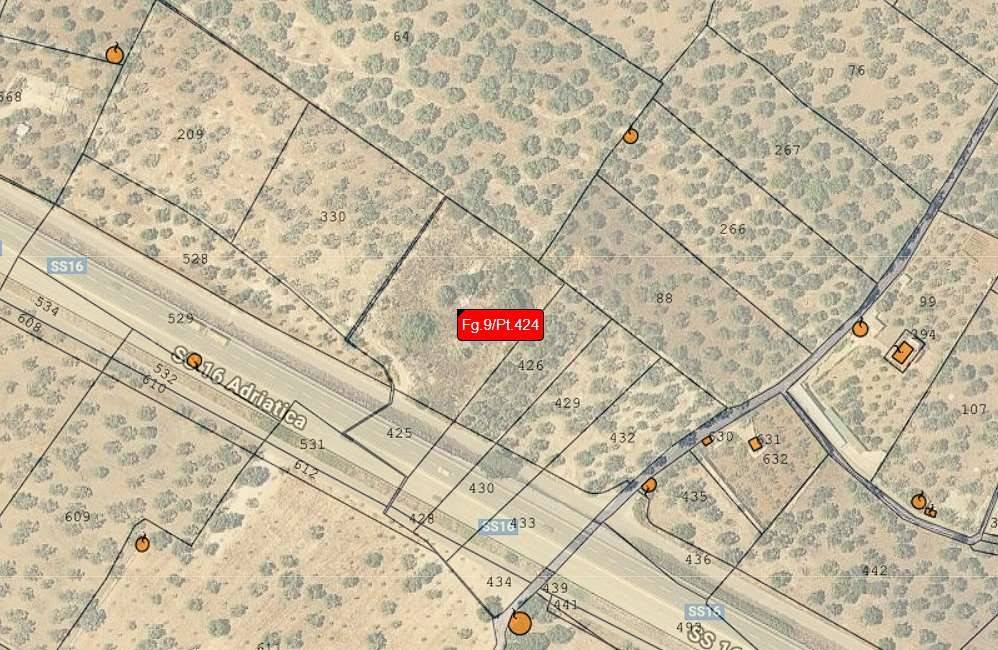 immagine annuncio 4 di 15