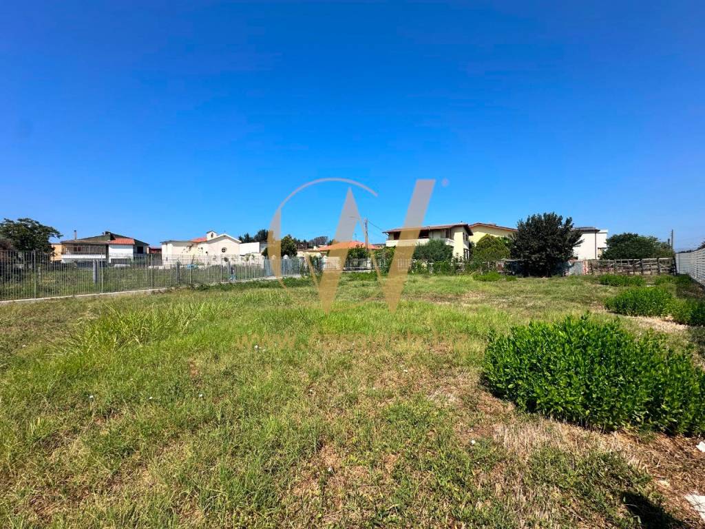 immagine annuncio 4 di 14