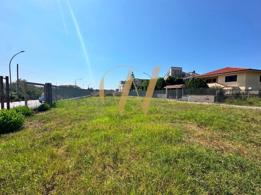 immagine annuncio 6 di 14