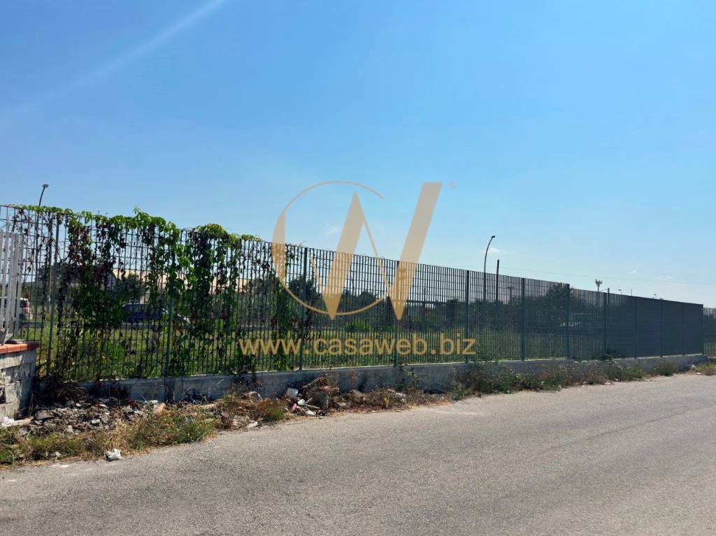 immagine annuncio 12 di 14