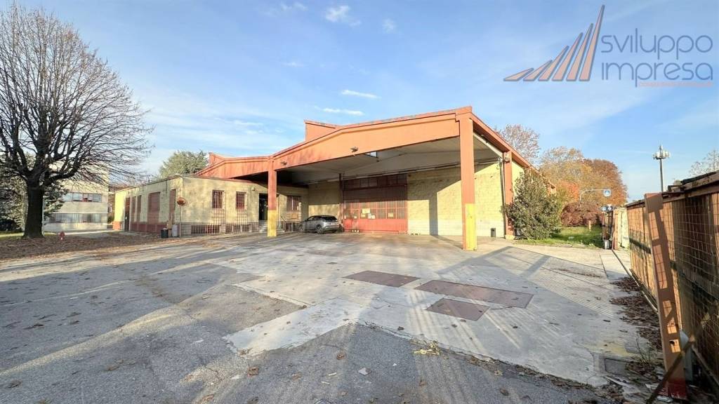 immagine annuncio 3 di 15