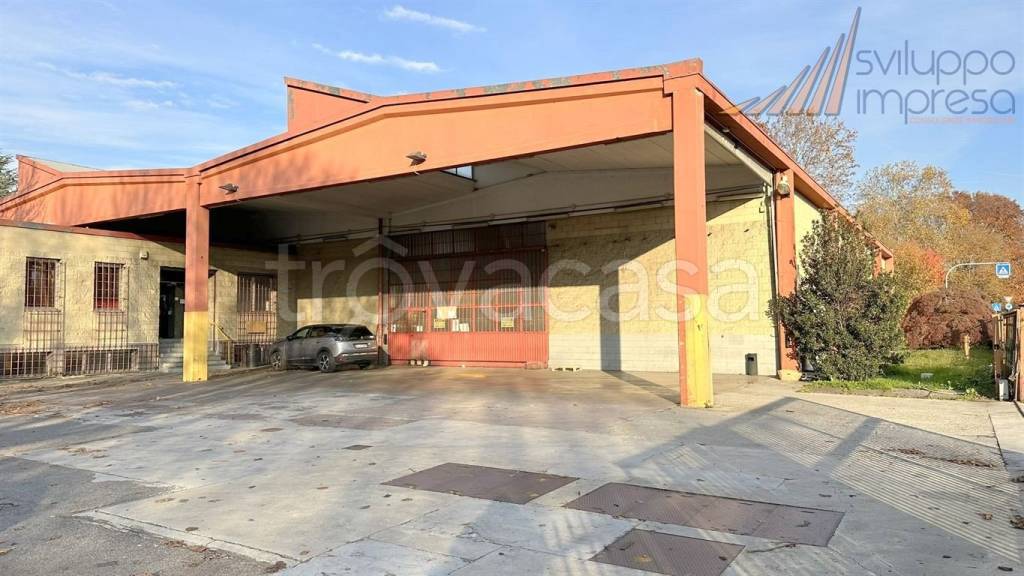 immagine annuncio 4 di 15