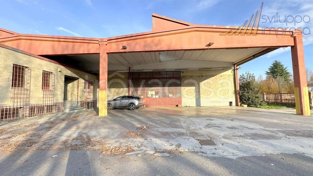 immagine annuncio 5 di 15