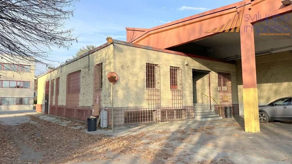 immagine annuncio 6 di 15