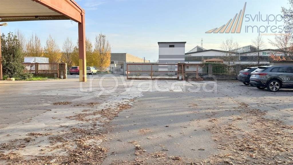 immagine annuncio 7 di 15