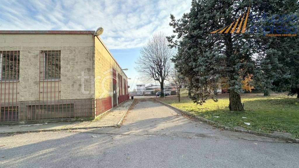 immagine annuncio 10 di 15