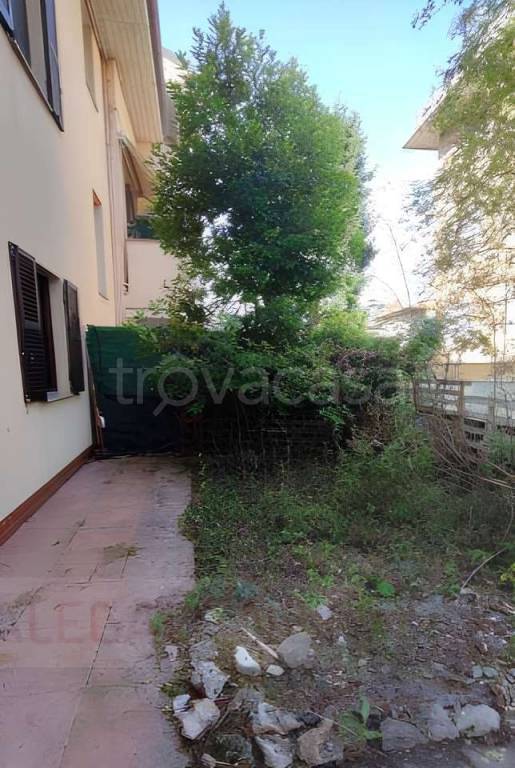 immagine annuncio 3 di 12