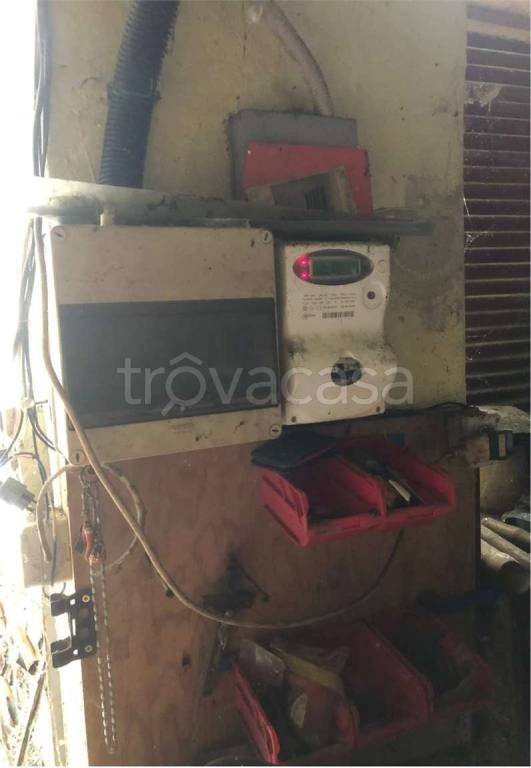 immagine annuncio 5 di 14