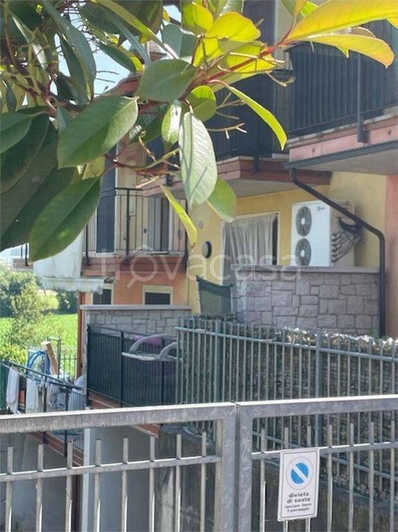 immagine annuncio 4 di 15