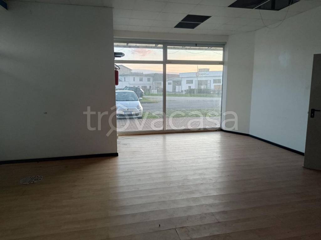 immagine annuncio 2 di 7