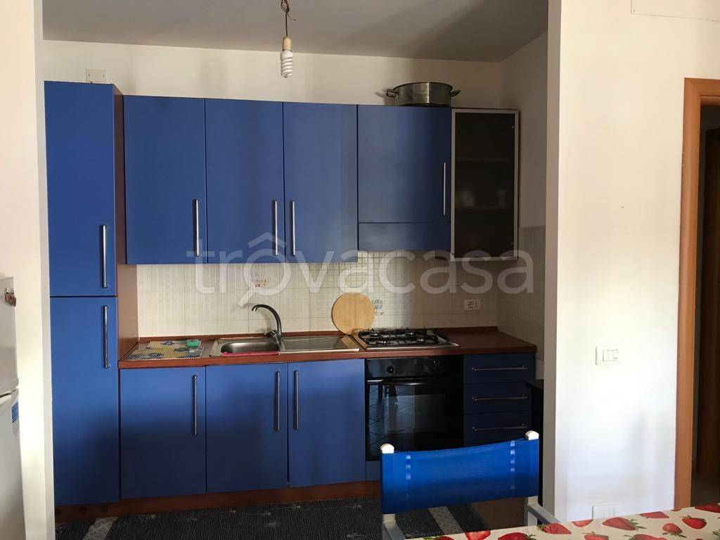 immagine annuncio 4 di 14